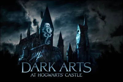 Qui a dit "Piertotum Locomotor ! [...] J'ai toujours rêvé de l'utiliser ce sort." ?