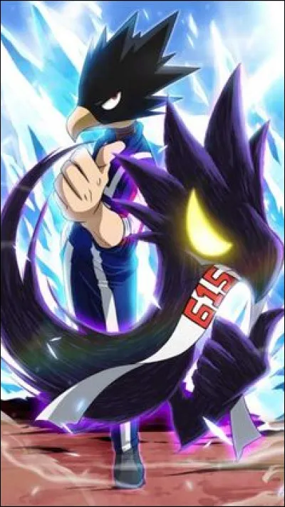 Quel est le nom de héros de Fumikage Tokoyami ?