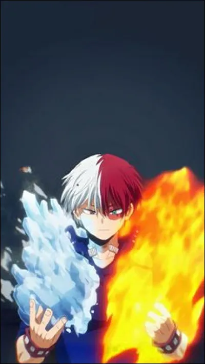 Quel est le nom de héros de Shôto Todoroki ?
