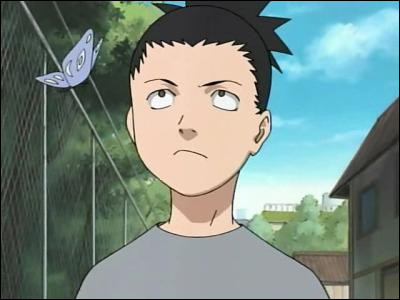 Qui est le sensei de Shikamaru à l'académie des Ninjas ?