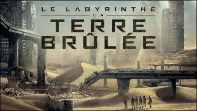 Quel est ton "Labyrinthe" favori ?