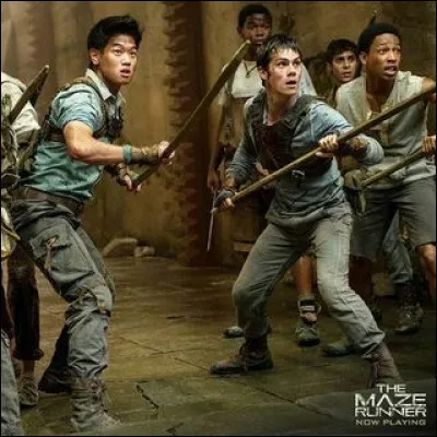 Pour terminer, acceptes-tu que l'on te donne des ordres ?