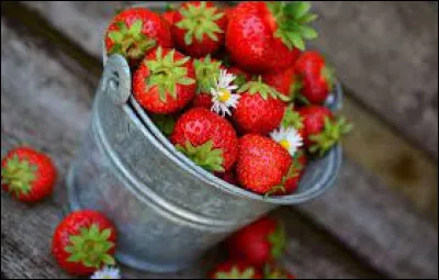 Les fraises de Plougastel viennent d'Occitanie.