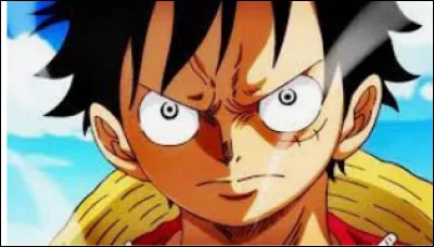 Luffy a quel âge ?