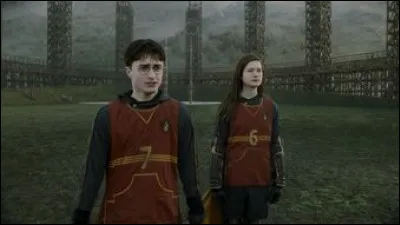 Aimes-tu le quidditch ?