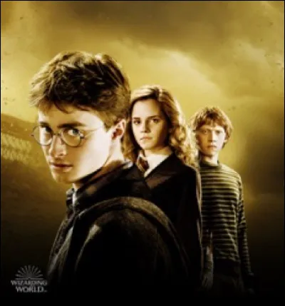 Quelle est ta boutique préférée ?