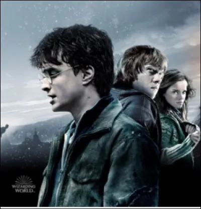 Es-tu un garçon ou une fille ?