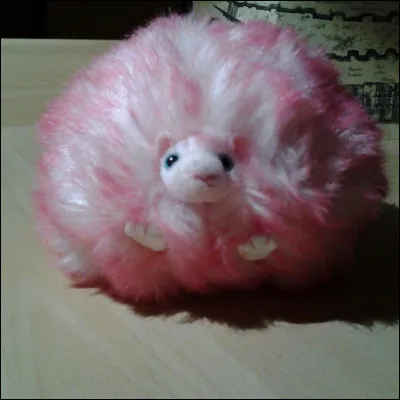 Comment nomme-t-elle son Boursouflet ?