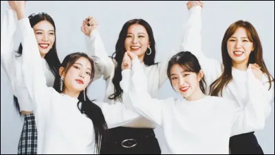 Quel est le concept de ce groupe ?