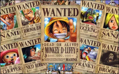 Tu vois que tu es recherché par la marine. Que fais-tu ?