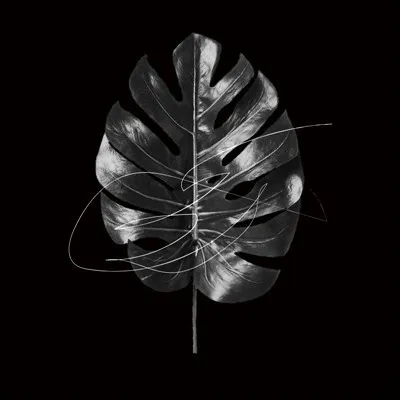 Quelle chanteuse britannique a sorti en 2006 l�album "Back to Black" ?