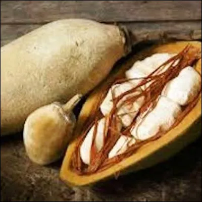 Quel arbre donne un fruit appel&eacute; pain de singe ?