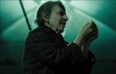 Grce  quel objet la vieille dame maudit-elle Christine ?