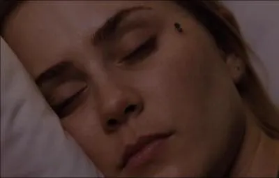 Quels insectes accompagnent souvent les apparitions dmoniaques ?