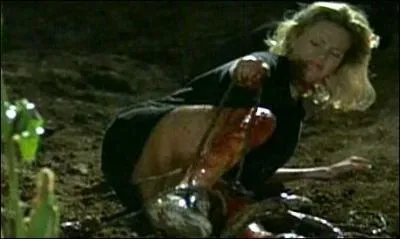  quel film appartient ce photogramme ?