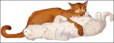 Tu vas avoir un apprenti et ton chef te demande de lui trouver un nom. Tu choisis...