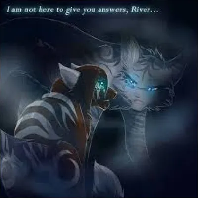 Un chat d'un autre clan entre sur ton territoire et dit qu'il ne l'a pas fait expr&egrave;s. Que fais-tu ?