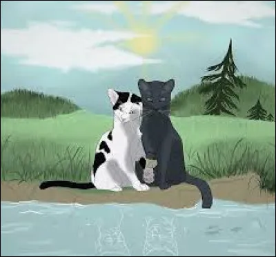 Quelqu'un dans ton clan te dit qu'il a entendu qu'un chat du clan t'aime. Que fais-tu ?