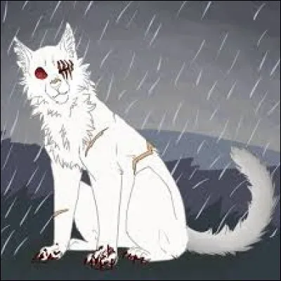 Tu es un apprenti et tu te blesses. Le gu&eacute;risseur te dit que tu ne pourras pas devenir guerrier.