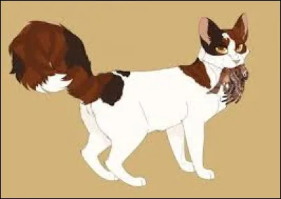 Que pr&eacute;f&egrave;res-tu manger ?