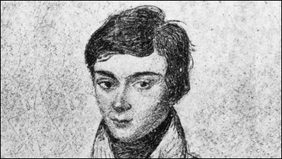 Evariste Gallois, né en 1811, mort à 20 ans, est considéré depuis comme ayant été particulièrement brillant et novateur : dans quel domaine ?