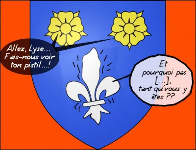 Tout de m&ecirc;me, les roses d'or, l&agrave;, elles exabusent, non ?