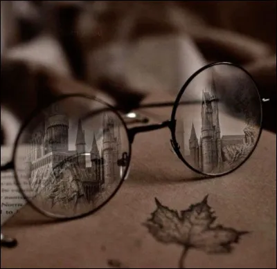 Es que ton personnage porte des lunettes ?