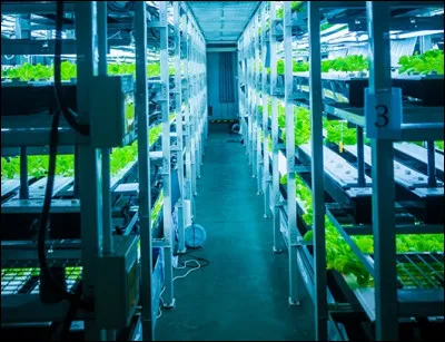 Comment appelle-t-on la culture hors sol réalisée sur un substrat neutre et inerte, irrigué d’un nutriment ?