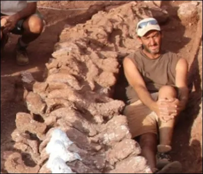 Où a été découvert le plus gros dinosaure connu à ce jour, le Patagotitan mayorum ? 