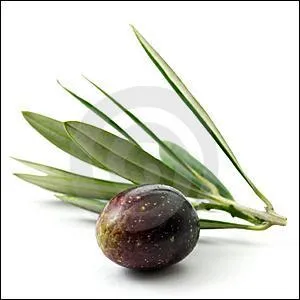 Que pouvez-vous identifier ?