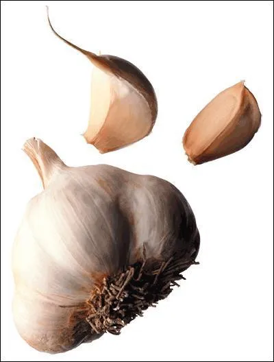 Que pouvez-vous identifier ?