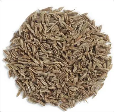 Que pouvez-vous identifier ?