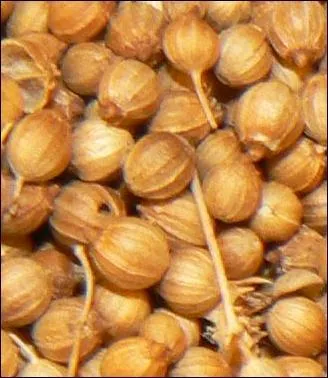 Que pouvez-vous identifier ?