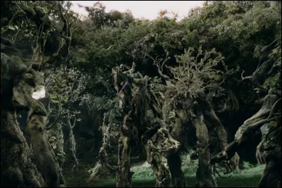 Où habite le vénérable Sylvebarbe ?