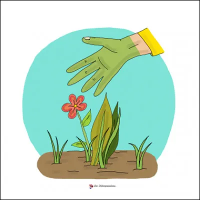 Quelle est cette expression ?