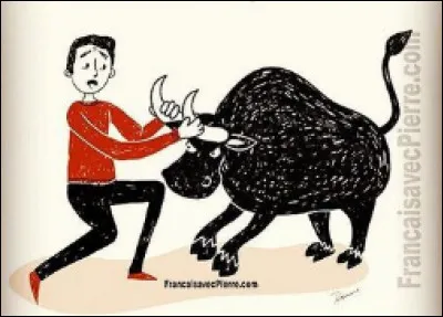 Quelle est cette expression ?