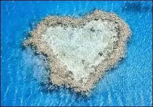 Aprs ou  l'occasion de la 'premire nuit officielle', il est d'usage de faire quel type de voyage ?