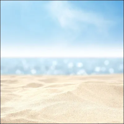 Que préfères-tu à la plage ?