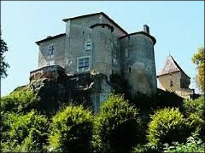 Je vous propose de partir dans le Périgord vert, à la découverte du château de Ramefort, à Valeuil. Nous serons en Nouvelle-Aquitaine, dans le département ...