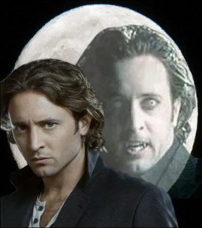 Dans quelle srie peut-on voir le vampire Mick ?