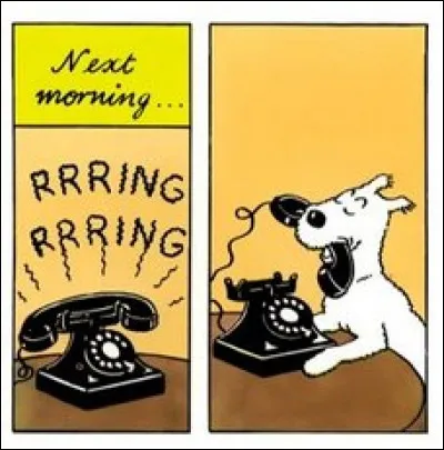 Dans quel album Milou décroche-t-il le téléphone ?