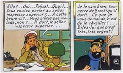 L'interlocuteur de Haddock n'est pas des plus dynamiques. De quel album cette extrait provient-il ?