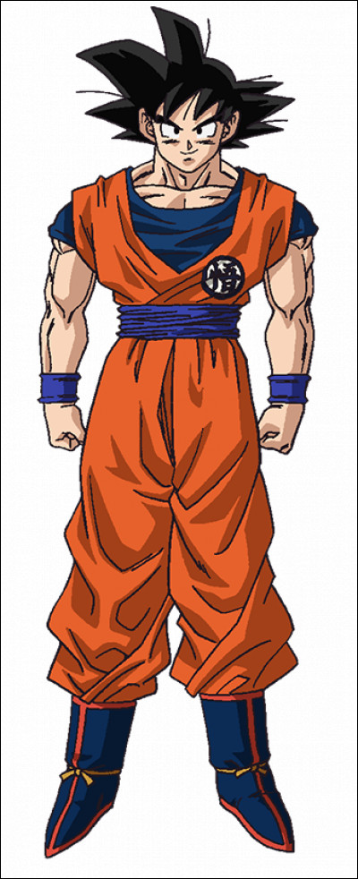 Qui est Son Goku ?