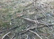 Quiz Que mettre dans le compost ?