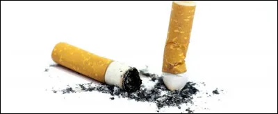 M&eacute;gots de cigarette