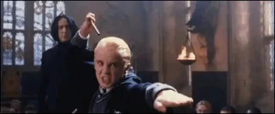 Quel sortilège préfères-tu ?