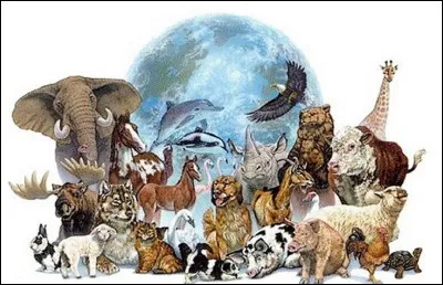 Pour cette question, regarde la photo pendant 10 secondes. (Après tu ne la regardes plus.)

Parmi ces animaux lequel pouvait t'on voir ?