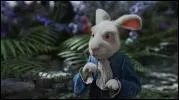 Comment s'appelle le lapin blanc ?