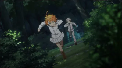 Jeu de loup 4 : Comment s&oelig;ur Krone qualifie-t-elle les livraisons ?