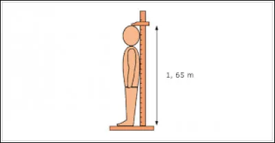 Bon, passons à ton apparence physique (important).
Quelle taille fais-tu ?